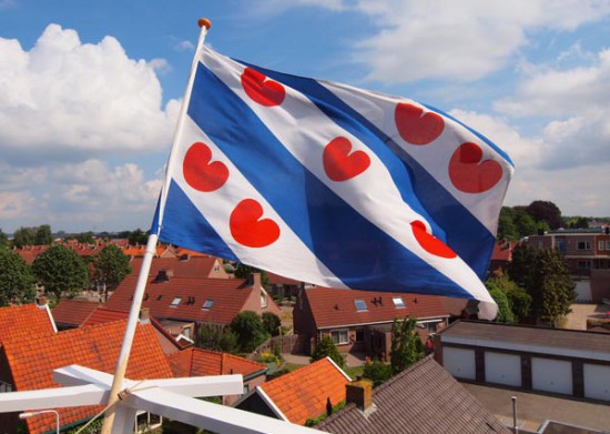 Terugblik Publieksacademie Friesland Terugblik Publieksacademie Friesland